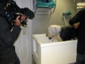 SWR-Fernsehkurs - heute: Drehen in einem Baden-Badener Hundesalon